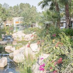 The Farm Restaurant, Al Barari User Photo