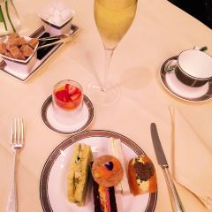 Palm Court User Photo