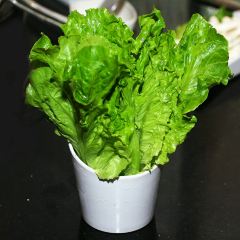 撈緣豬肚雞粵派火鍋（火星店）張用戶圖片