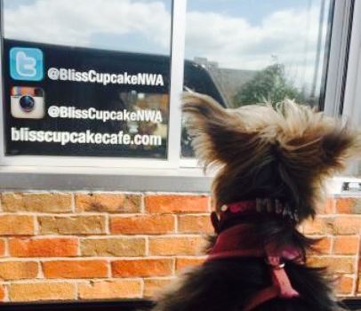 Bliss Cupcake Cafe
