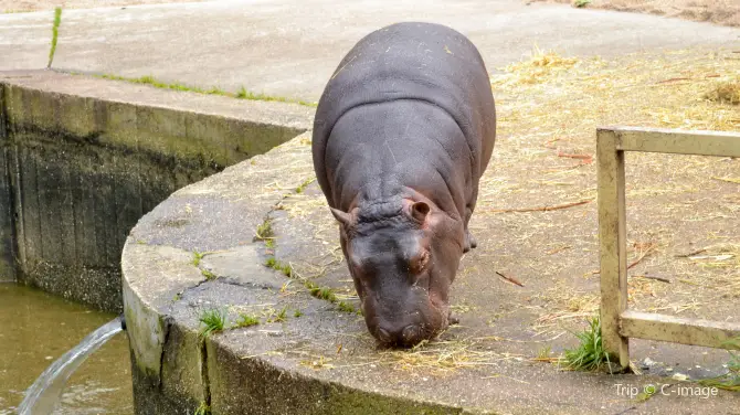 4_Prague Zoo