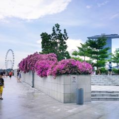 Lady M 여행 사진