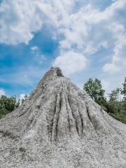 烏山頂泥火山自然保留區