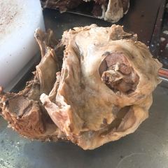 蔡记羊羔肉 User Photo