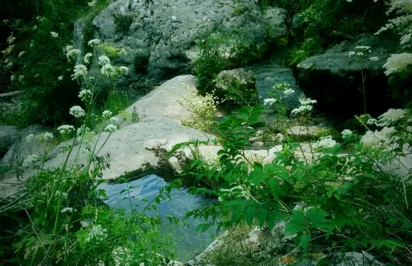 漳縣鑫泰商務賓館