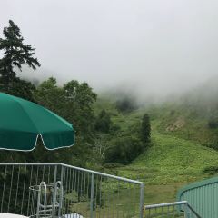 Kohi Morinotokei User Photo