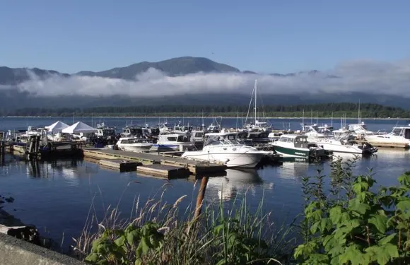 狂野海岸度假屋