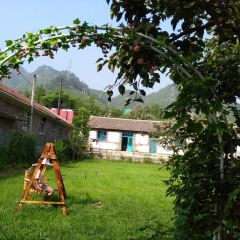 兴隆山农家院 User Photo