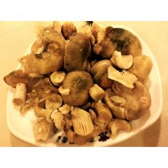 Jingchuan Wild Mushrooms Restaurant User Photo