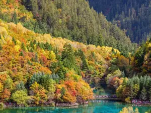 Enshi Grand Canyon Scenic Area