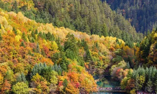 Enshi Grand Canyon Scenic Area