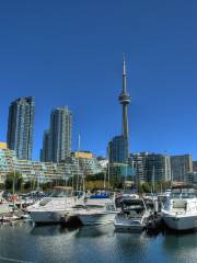 Harbourfront Centre