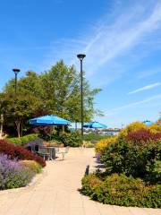 Hudson River Park