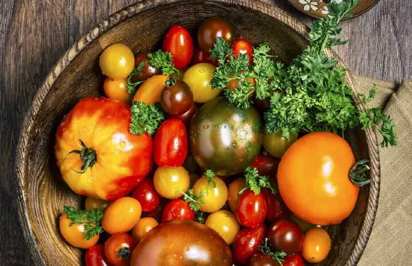 豪客來牛排（寶龍店-0220）