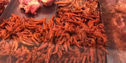 九多肉多(新安縣店)