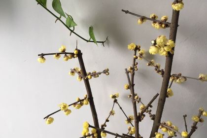 肯德基(雄风店)