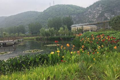 华莱士·全鸡汉堡(黄石湖师店)