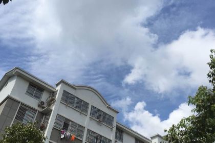 傣妹火鍋（全椒奧康步行街店）