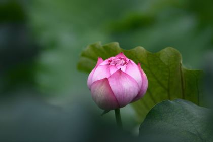 Ban QiuShan Western Restaurant