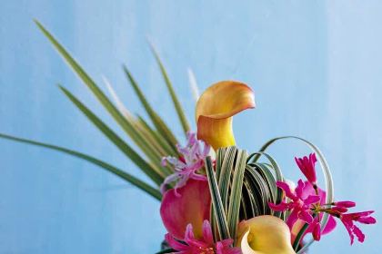 啦啦茶(步行街后门店)