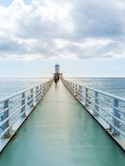 Busena Marine Park Underwater Observatory