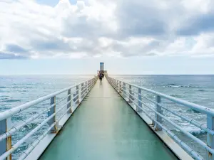 Busena Marine Park Underwater Observatory