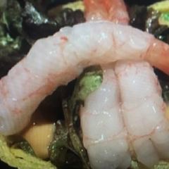 ikki New Japan Cuisine User Photo
