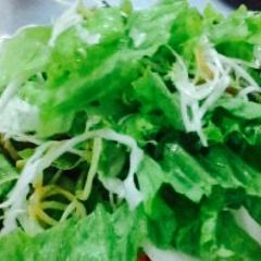 Mì Quảng 1A ảnh của người dùng