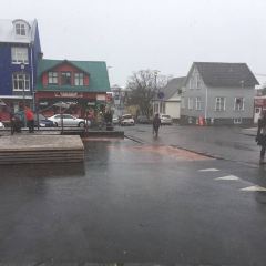 Reykjavik Roasters張用戶圖片
