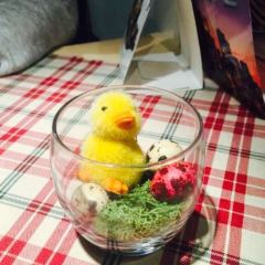 Romer Pils Brunnen User Photo