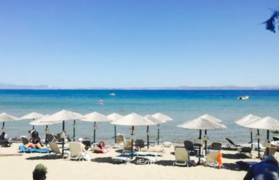 Cafe Bar Restaurant Oasis