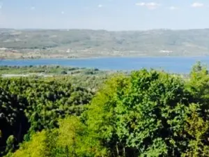 Sapanca Sardunya Restaurant