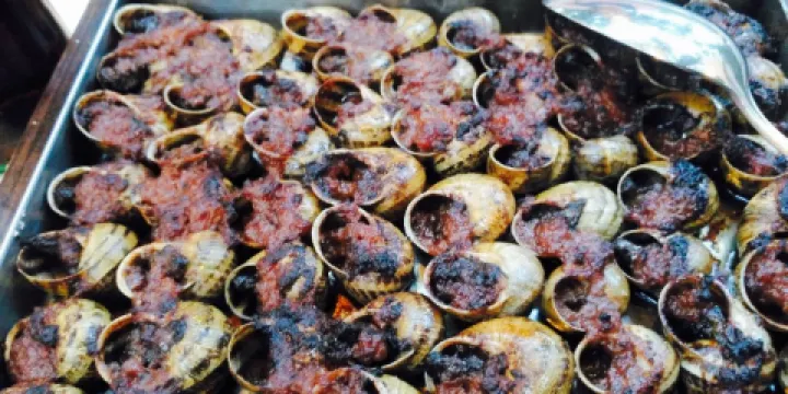 Mas Romeu Restaurante