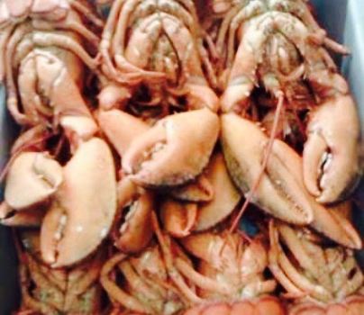 Just Seafood Inc. -The Fresh Seafood Store!
