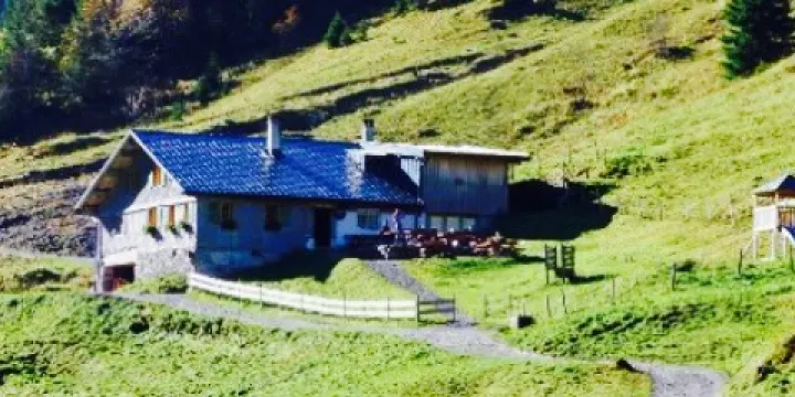 Bernhard's Gemstelalpe