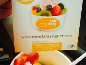 Moolala Frozen Yogurt