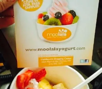 Moolala Frozen Yogurt