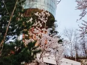 Bonappetit Andong Tower Store