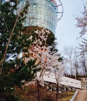 Bonappetit Andong Tower Store