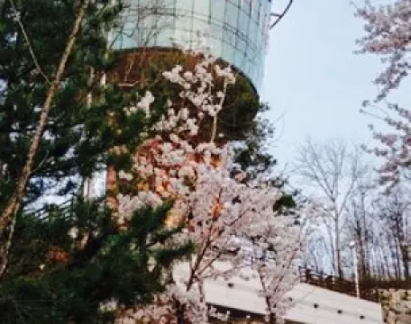 Bonappetit Andong Tower Store