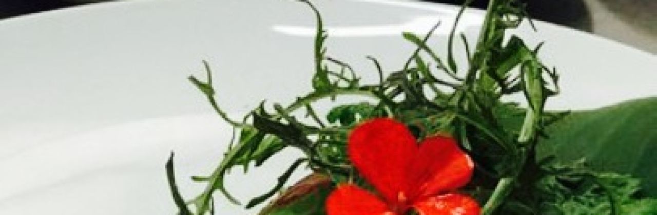 Hani Hani TunuAhi&Bar