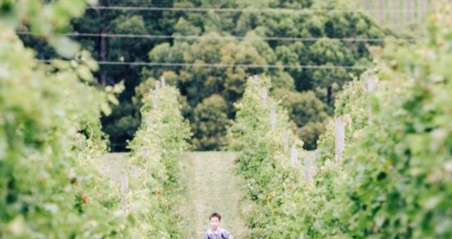 Greenhill Wines Cellar Door & Cafe