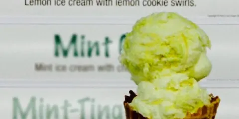 Adrian's Custard & Beef