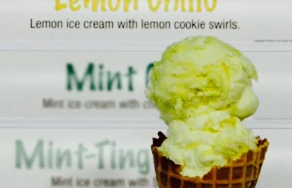 Adrian's Custard & Beef