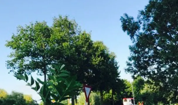 Restaurant De Olifant