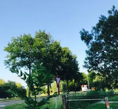 Restaurant De Olifant