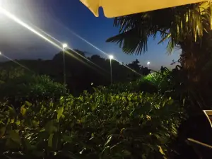 Taverna Sergio