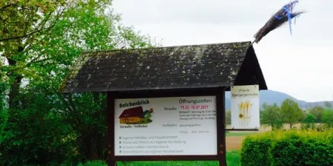 Belchenblick Strausse