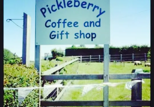 Pickleberry