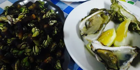 Los piratas del sablon